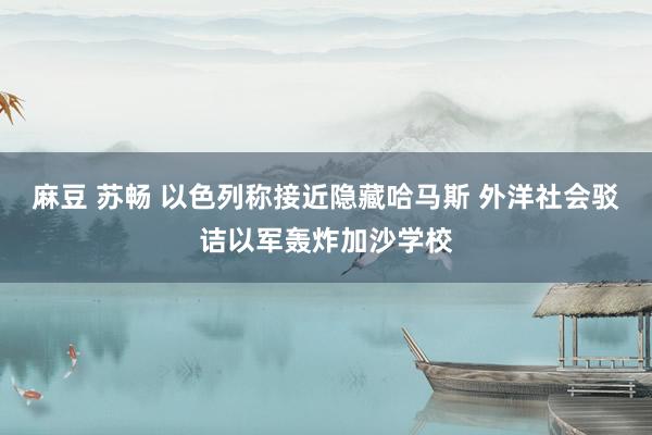 麻豆 苏畅 以色列称接近隐藏哈马斯 外洋社会驳诘以军轰炸加沙学校