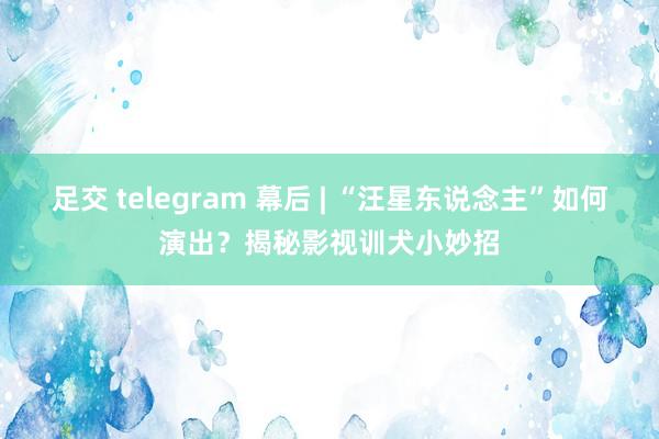 足交 telegram 幕后 | “汪星东说念主”如何演出？揭秘影视训犬小妙招